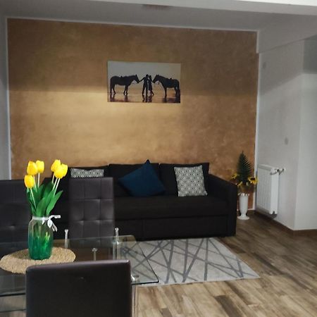 Апартаменты Apartament Lenus'K Бухарест Экстерьер фото