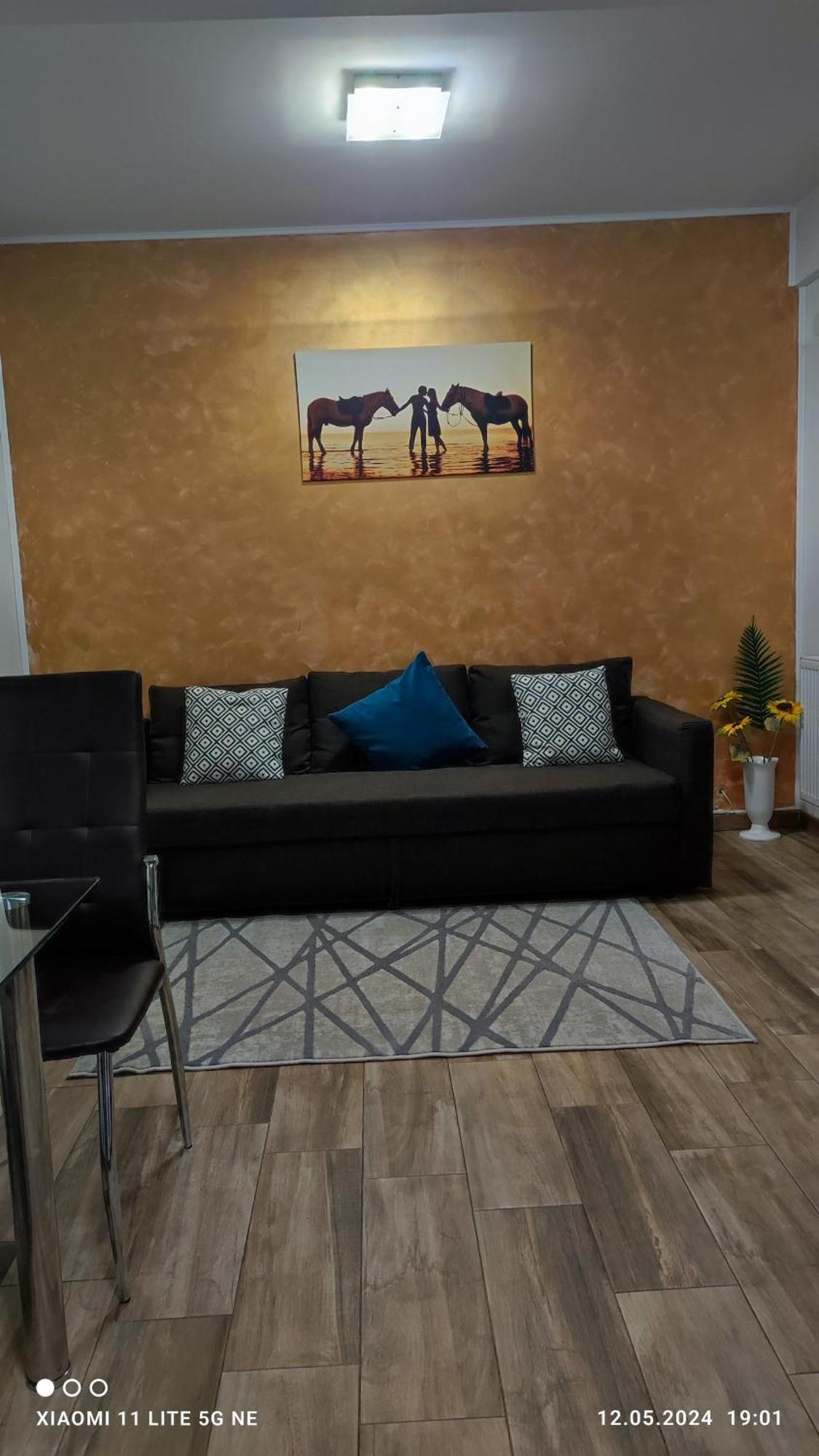 Апартаменты Apartament Lenus'K Бухарест Экстерьер фото