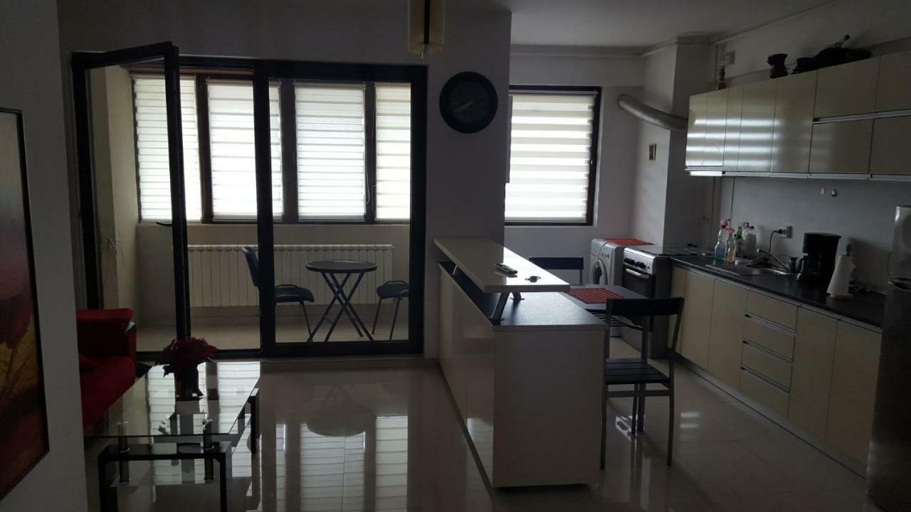 Апартаменты Apartament Lenus'K Бухарест Экстерьер фото